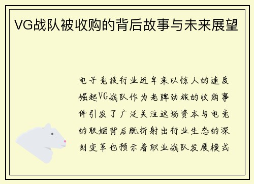 VG战队被收购的背后故事与未来展望